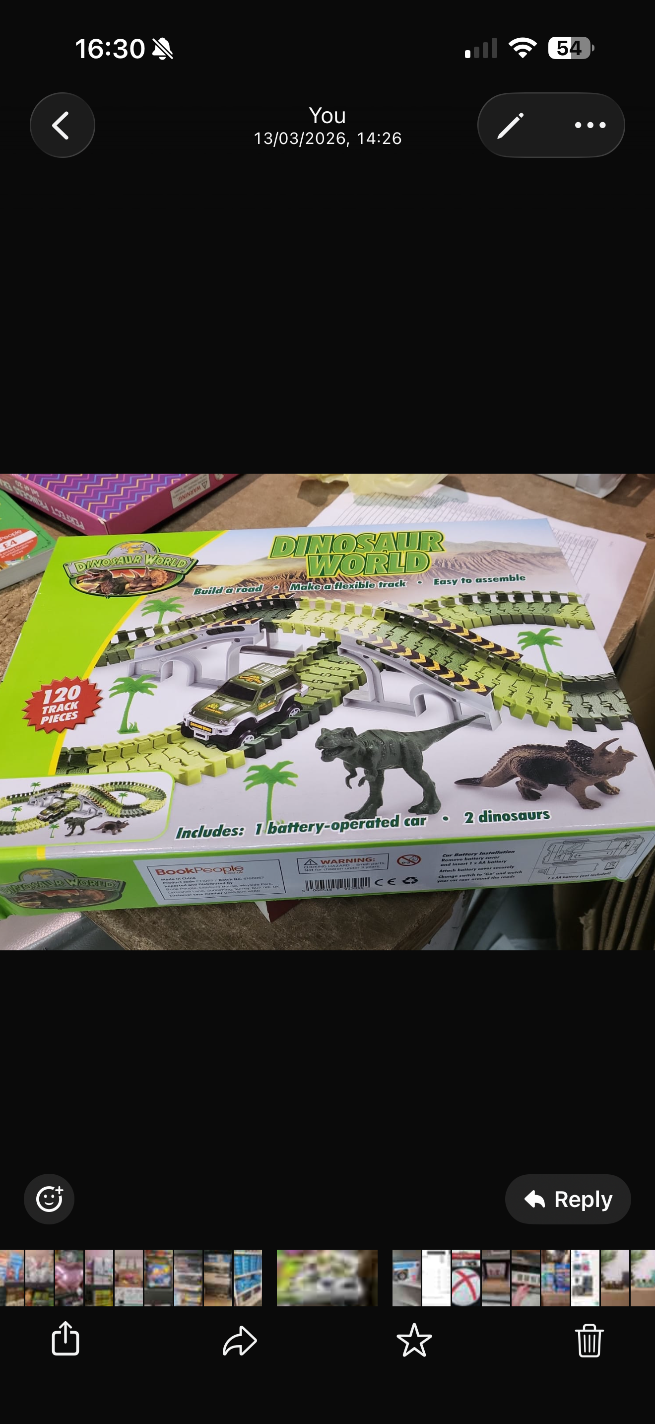 Dinosaur track