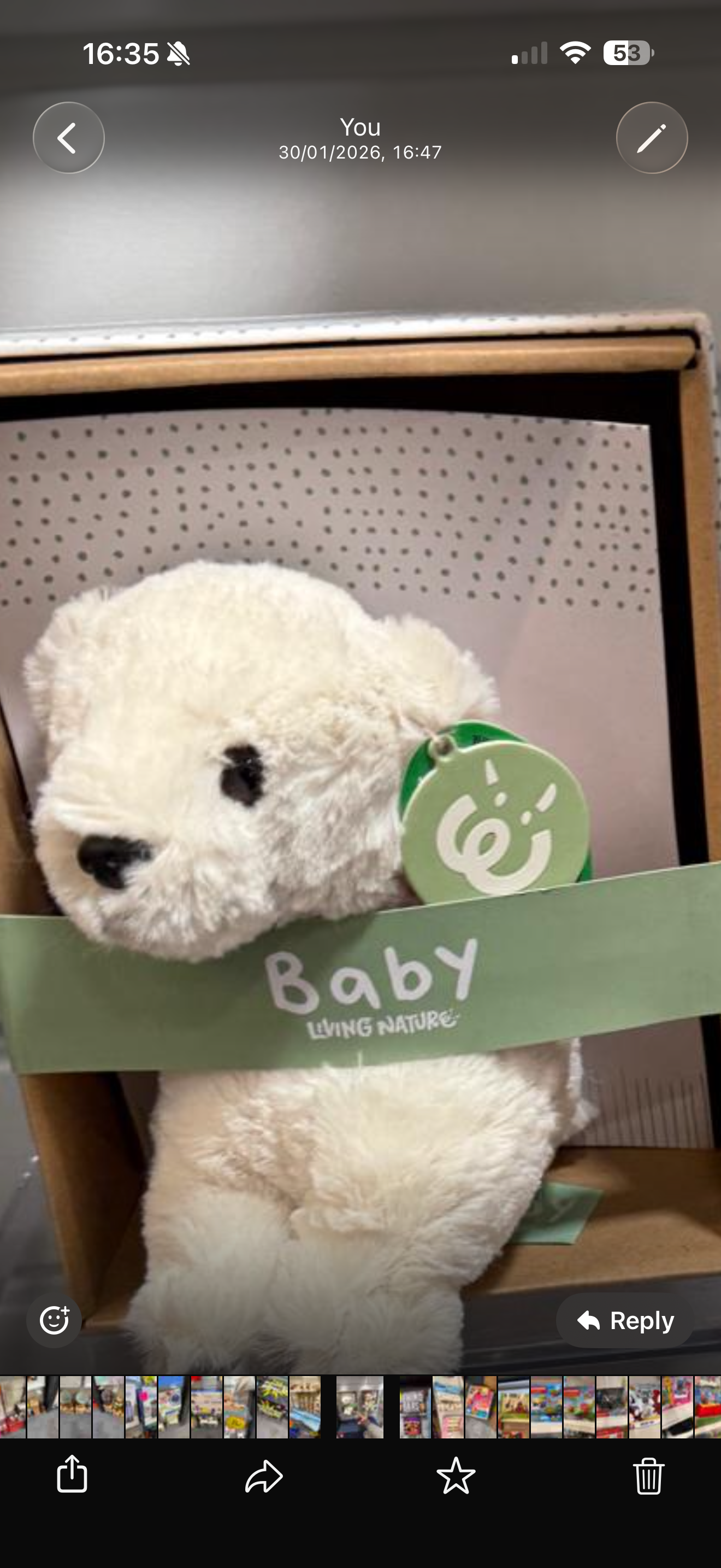Cuddly toy in gift box