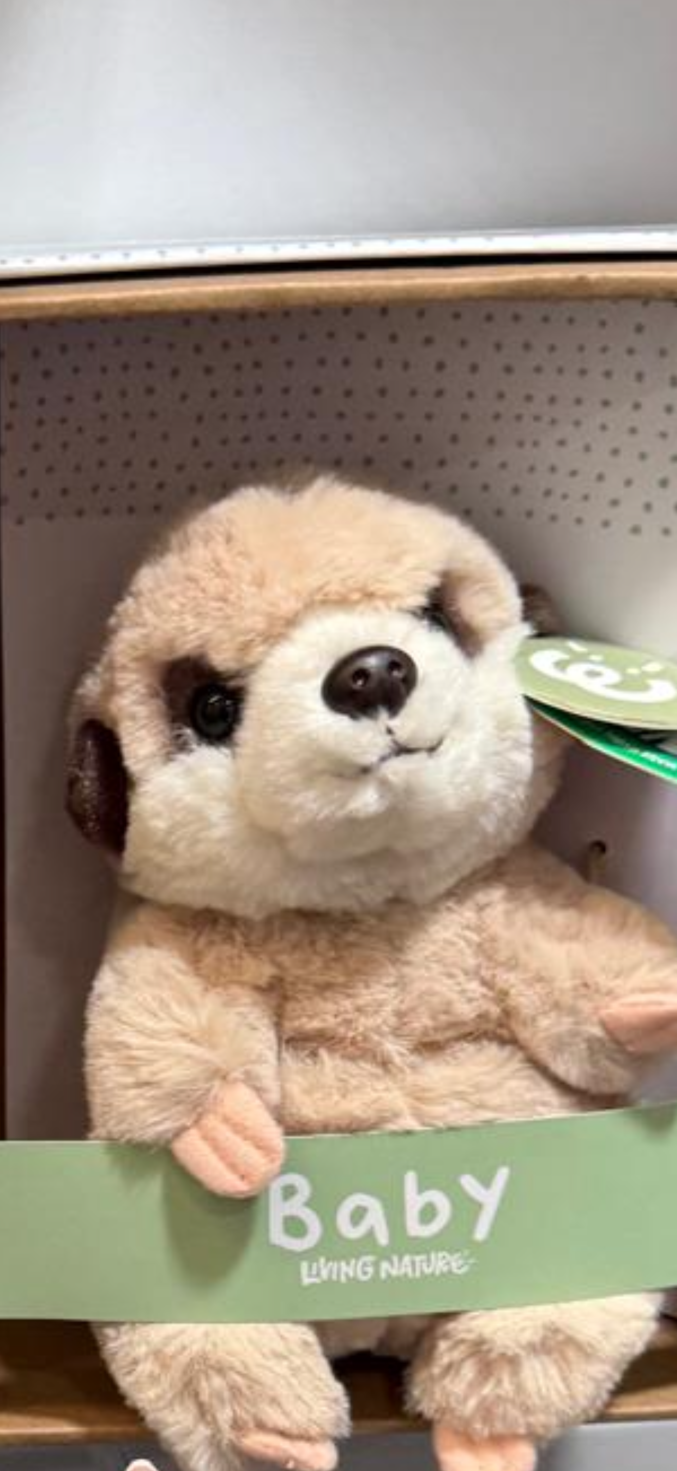 Cuddly toy in gift box