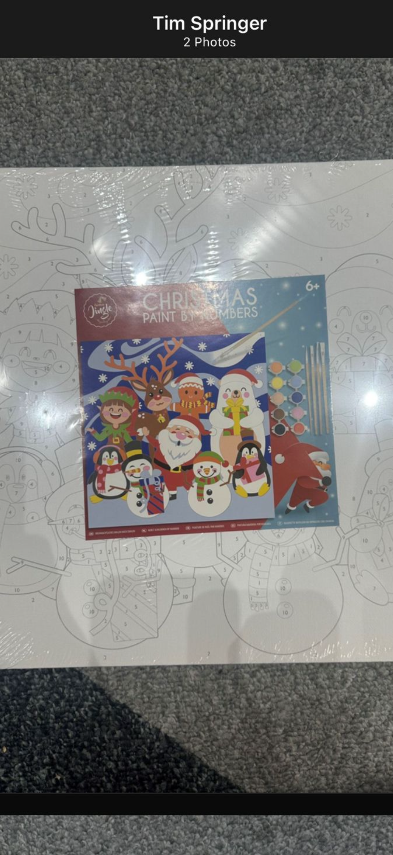 Christmas paint by numbers canvas kit
