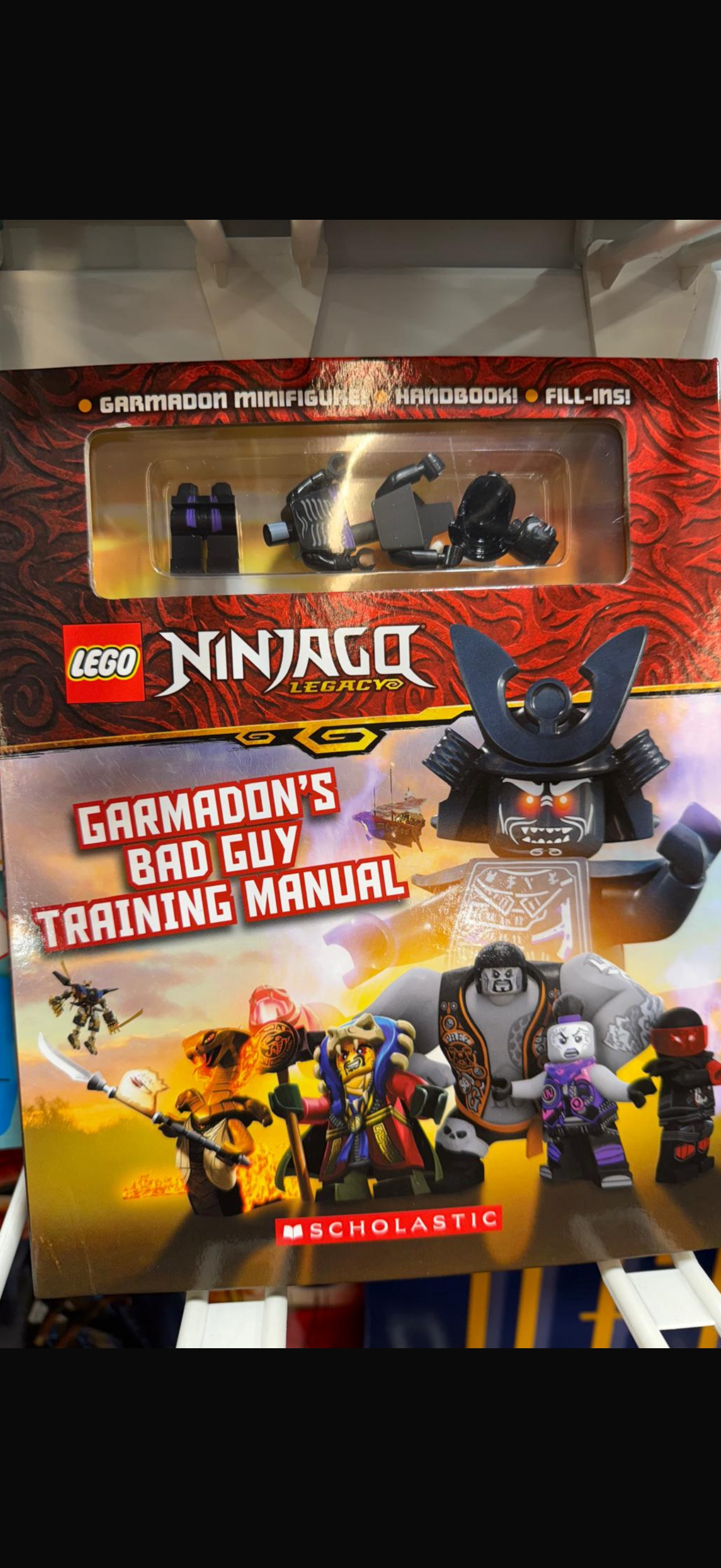 Lego ninjago book & character