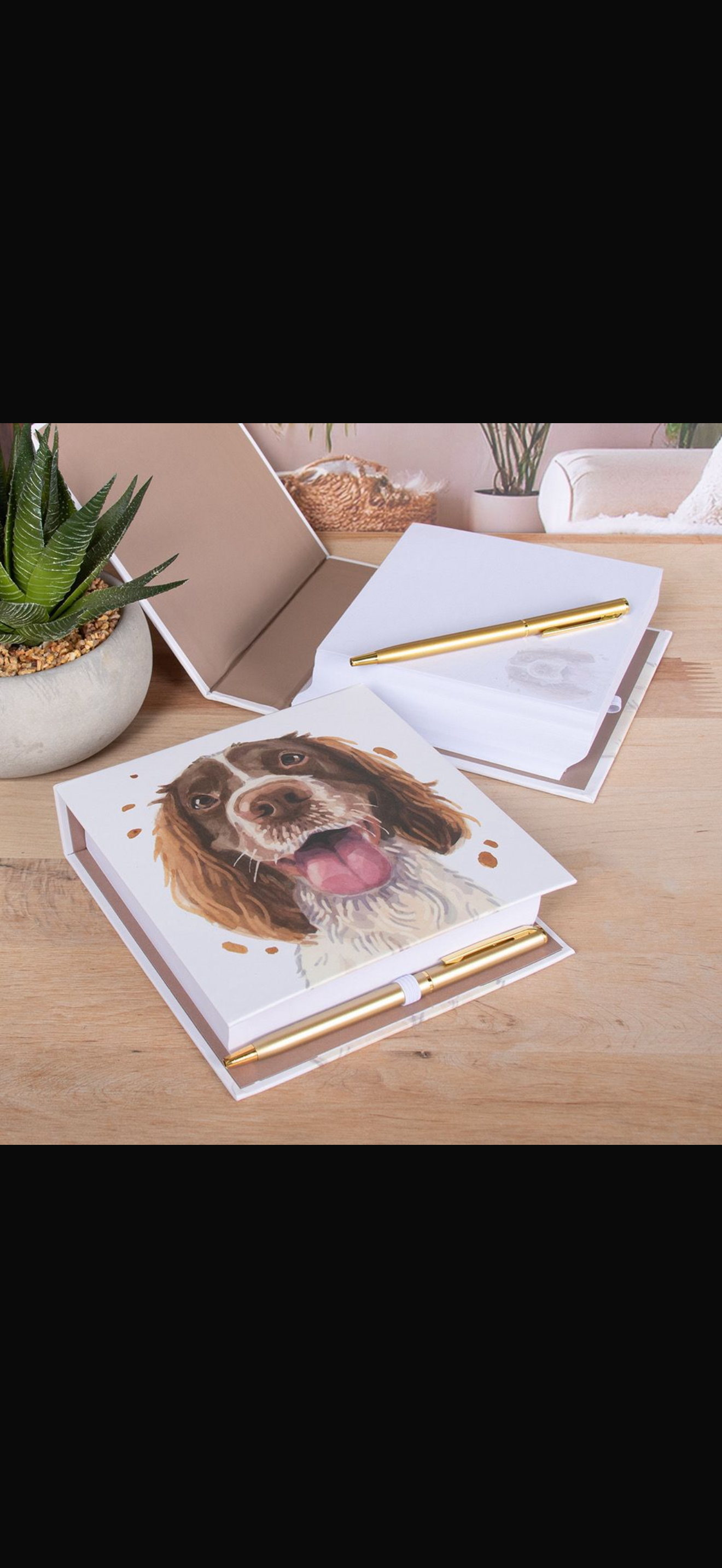 Memo pad with pen