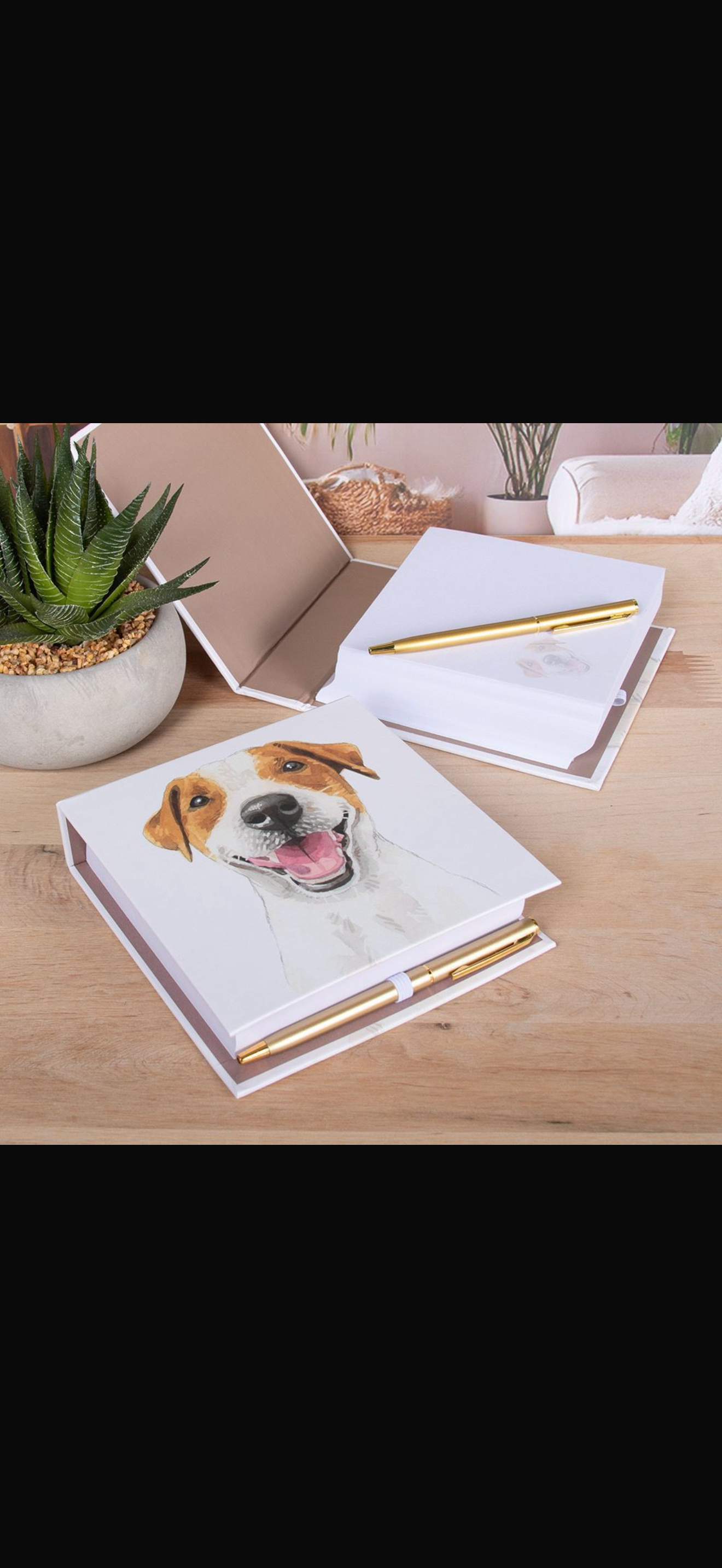 Memo pad with pen